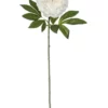 Rogue Heirloom Peony Stem 25x18x79cm White