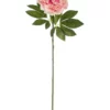 Rogue Heirloom Peony Stem 25x18x79cm Pink