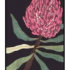Cooper & Co Waratah Ready To Hang Canvas Wall Art 100x140cm