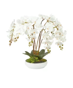 Cooper & Co Large White Orchid Potted Faux Plant 60cm