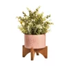 Cooper & Co Artificial Succulent In Ceramic Pot 35cm