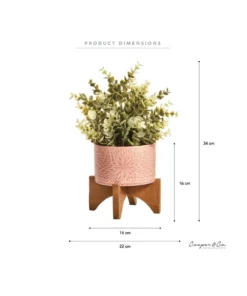 Cooper & Co Artificial Succulent In Ceramic Pot 35cm -Home Decor Shop 865668070 3 720x928