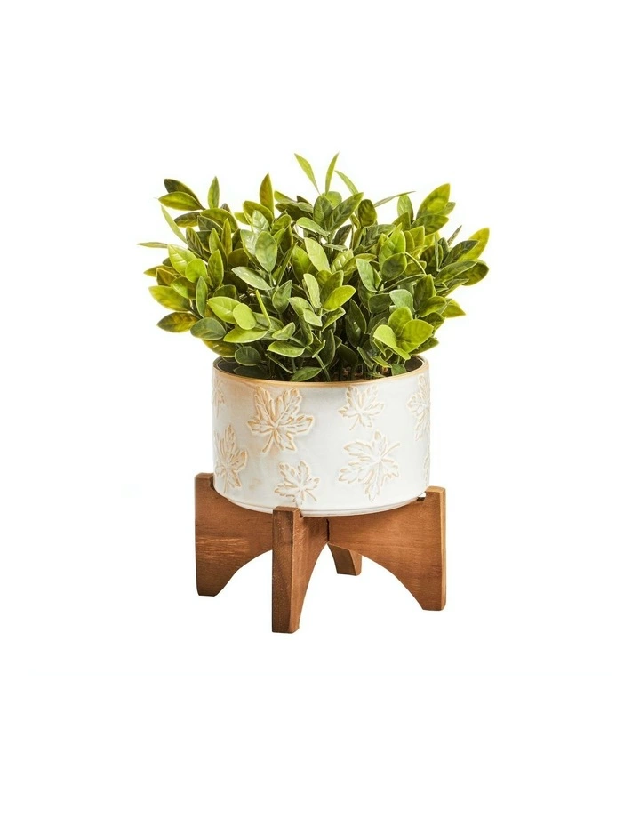 Cooper & Co Artificial Greenery In Ceramic Pot 30cm 1 Cooper & Co Artificial Greenery In Ceramic Pot 30cm