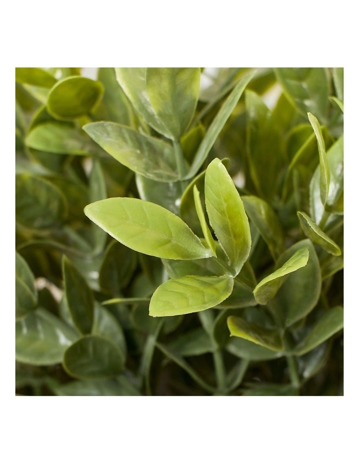 Cooper & Co Artificial Greenery In Ceramic Pot 30cm 4 Cooper & Co Artificial Greenery In Ceramic Pot 30cm - Image 4