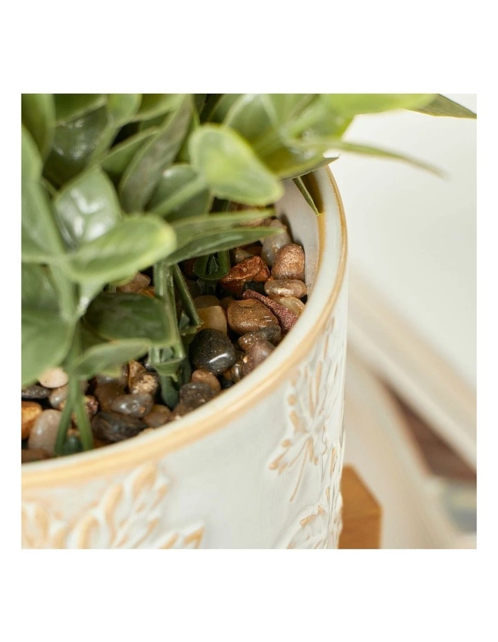 Cooper & Co Artificial Greenery In Ceramic Pot 30cm 5 Cooper & Co Artificial Greenery In Ceramic Pot 30cm - Image 5