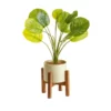 Cooper & Co Artificial Taro Plant In Ceramic Pot 75cm