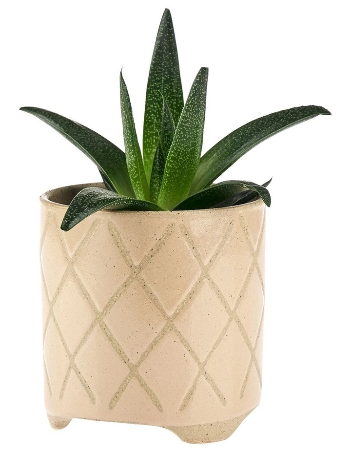 Linen House Estrada Planter Pot 16cm In Caramel 2 Linen House Estrada Planter Pot 16cm In Caramel - Image 2