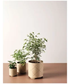 Linen House Estrada Planter Pot 12cm In Caramel 5 Linen House Estrada Planter Pot 12cm In Caramel -Home Decor Shop 869258260 3 720x928
