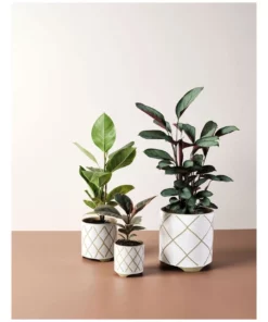 Linen House Estrada Planter Pot 24cm In White 5 Linen House Estrada Planter Pot 24cm In White -Home Decor Shop 869258350 3 720x928