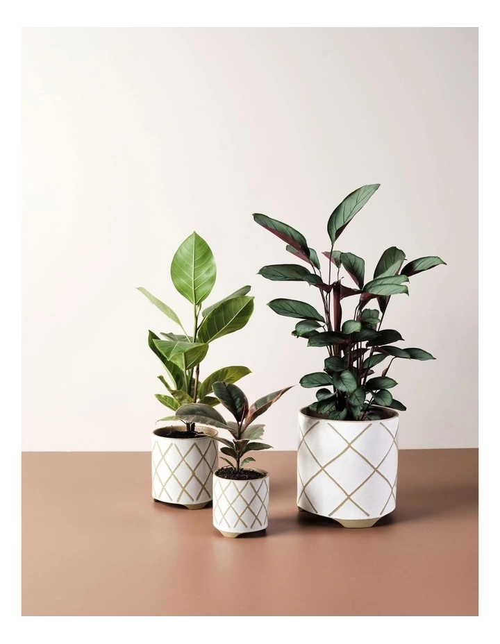 Linen House Estrada Planter Pot 24cm In White 3 Linen House Estrada Planter Pot 24cm In White - Image 3