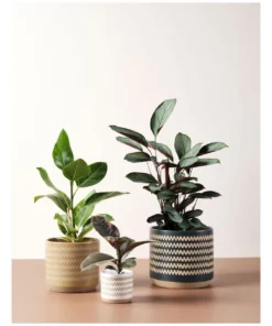 Linen House Dawn Planter Pot 11cm In White -Home Decor Shop 869258620 3 720x928