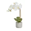 Cooper & Co Artificial Orchid 45cm White