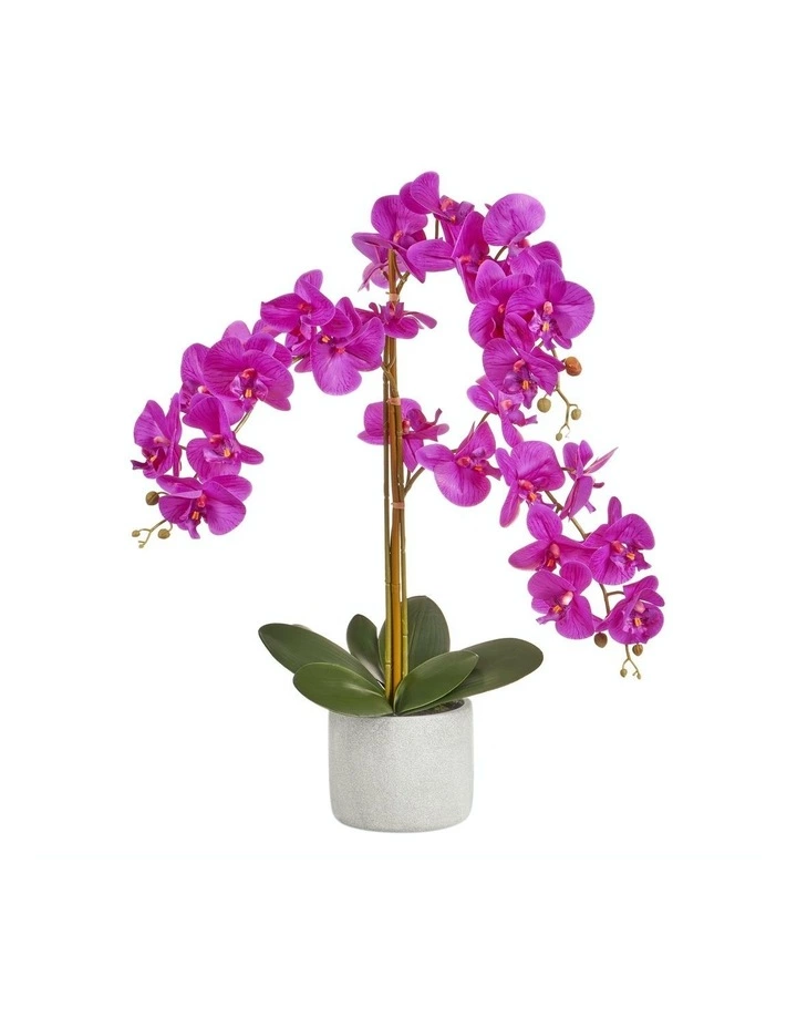 Cooper & Co Artificial Orchid 70cm Purple 1 Cooper & Co Artificial Orchid 70cm Purple