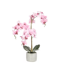 Cooper & Co Artificial Orchid 70cm Pink