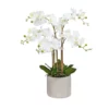 Cooper & Co Artificial Orchid 80cm White