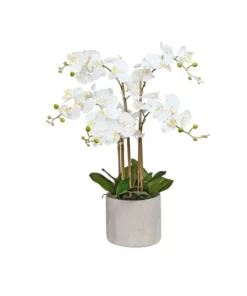 Cooper & Co Artificial Orchid 80cm White