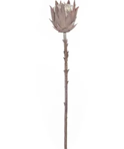 Rogue Dried Look Protea Stem 51cm In Brown