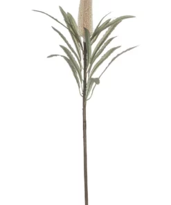 Rogue RB Deco Banksia Thin Stem 63cm In Natural
