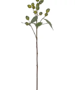 Rogue Gum Nut Spray 67cm In Green