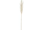 Rogue Pampas Grass Spray 92cm In Off White