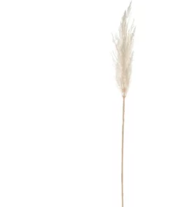 Rogue Pampas Grass Spray 92cm In Off White