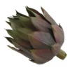 Rogue Artichoke Head 8x8x13cm In Purple