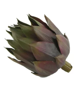 Rogue Artichoke Head 8x8x13cm In Purple