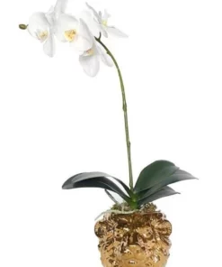 Vicky Yao Exclusive Design Real Touch Artificial Orchid Arrangement In Lion Head Golden Pot