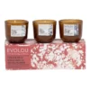 Salt&Pepper Evolou Candle Set Fresh 52g S/3 In Amber