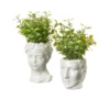 Cooper & Co Artificial Potted Roman Head Plants 25/20cm Set of 2