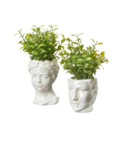 Cooper & Co Artificial Potted Roman Head Plants 25/20cm Set of 2