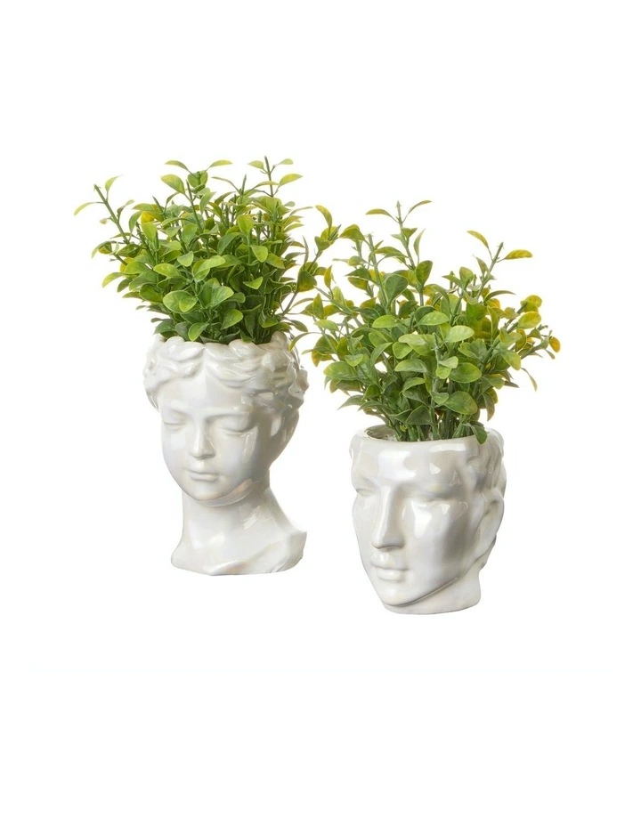 Cooper & Co Artificial Potted Roman Head Plants 25/20cm Set of 2 1 Cooper & Co Artificial Potted Roman Head Plants 25/20cm Set of 2
