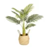 Cooper & Co Artificial Palm In Woven Basket