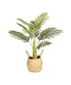 Cooper & Co Artificial Palm In Woven Basket