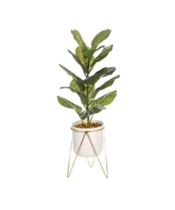 Cooper & Co Potted Fiddle Leaf On Stand