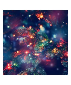 Milano Décor Solar Powered Outdoor Fairy Lights 200 Lights Multicoloured 10003389 -Home Decor Shop 890424640 6 720x928